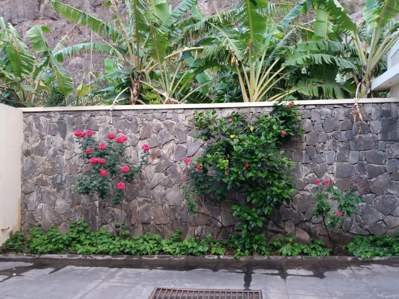 Ribeira Grande Country House Cha de Arroz Exteriör bild