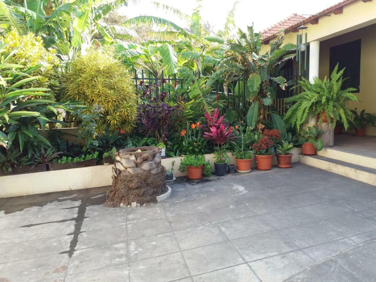 Ribeira Grande Country House Cha de Arroz Exteriör bild