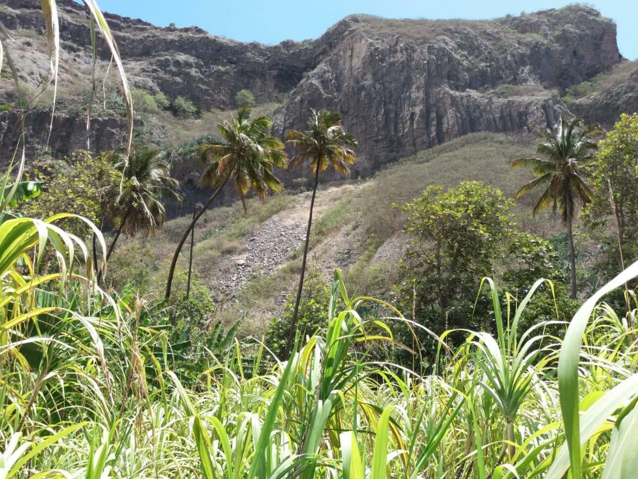 Ribeira Grande Country House Cha de Arroz Exteriör bild