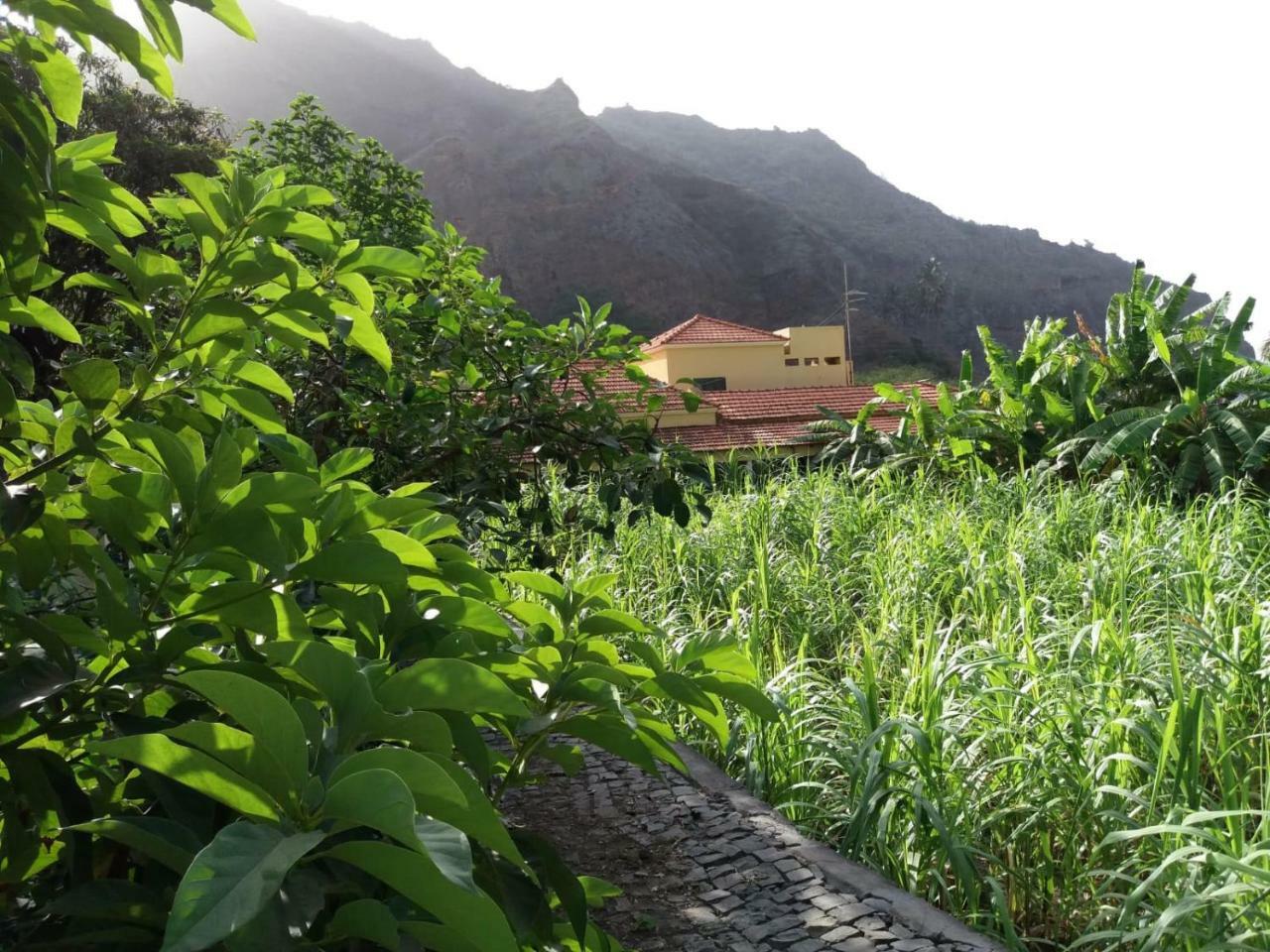 Ribeira Grande Country House Cha de Arroz Exteriör bild