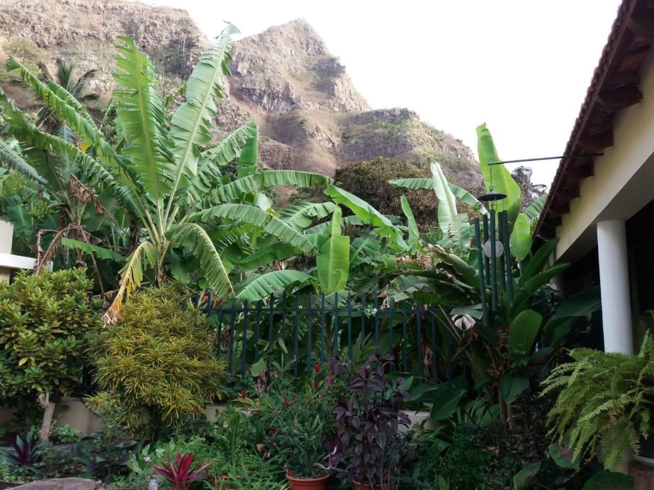 Ribeira Grande Country House Cha de Arroz Exteriör bild
